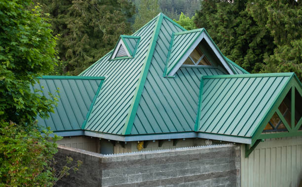 Best Roof Moss and Algae Removal  in Mingo Junction, OH
