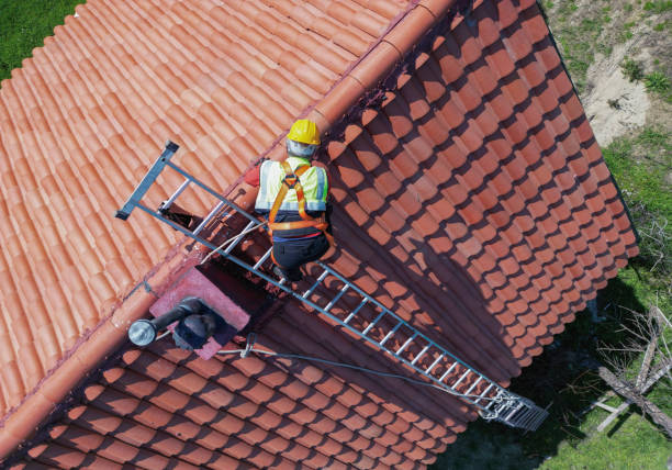 Best Solar Panel Roofing Installation  in Mingo Junction, OH